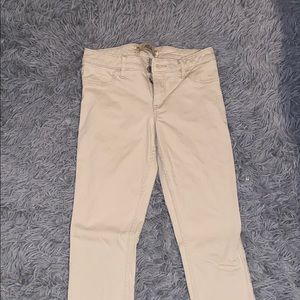 HOLLISTER KHAKI PANTS
